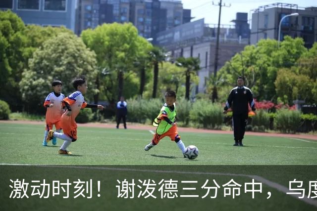 激动时刻！谢泼德三分命中，乌度卡热情相拥庆祝